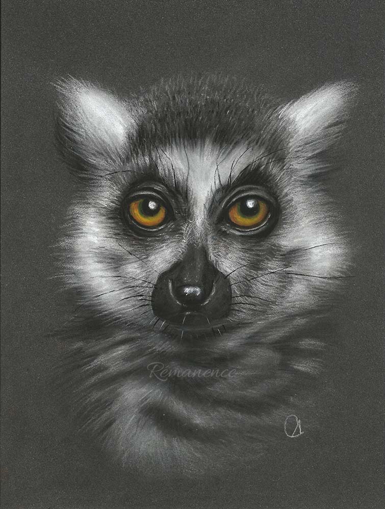 Dessin portrait souvenir animaux lémurien